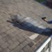 roof leak detection